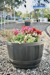 A tub of planted flowers